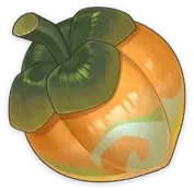 원신) 여름빛 참나무 그건가봐_2.webp