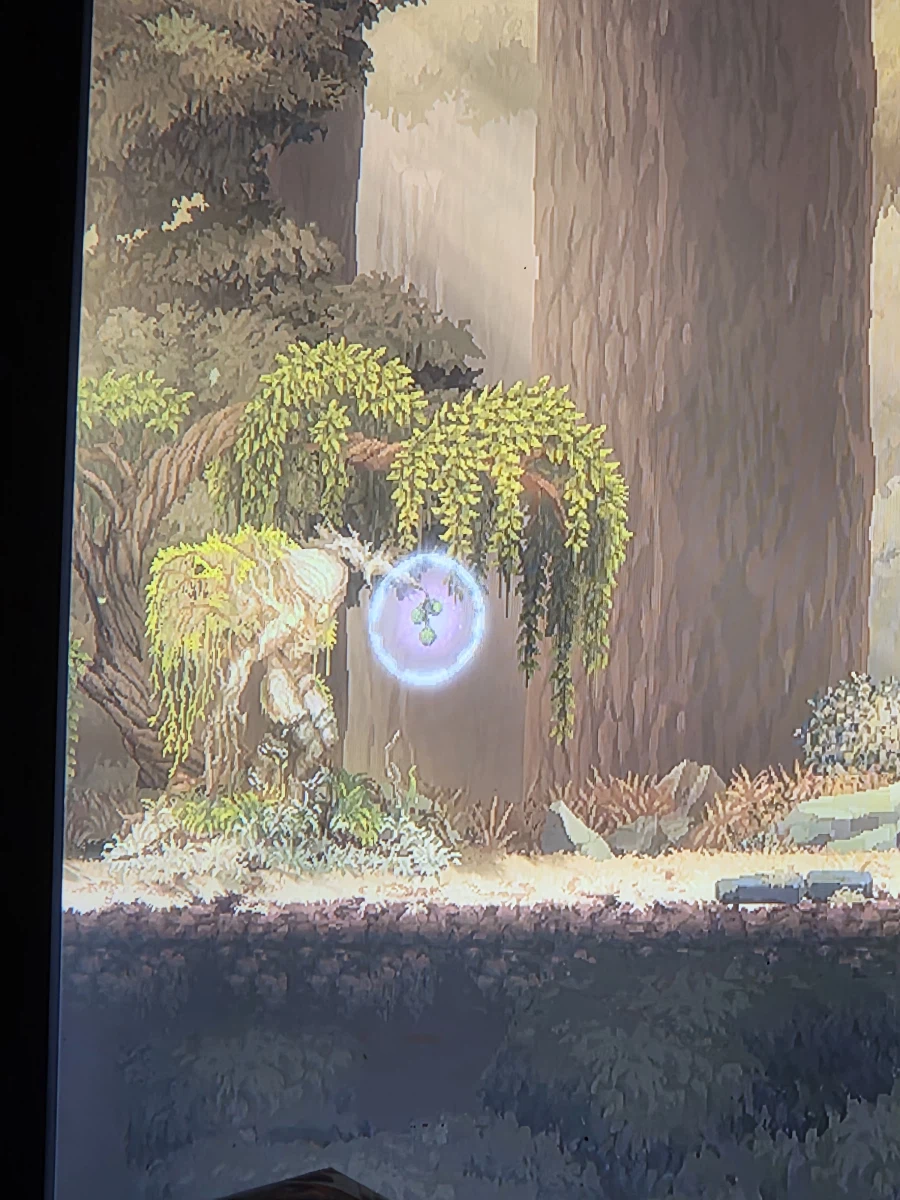 선즈 열매 쓰는법 아시는분?_1.webp