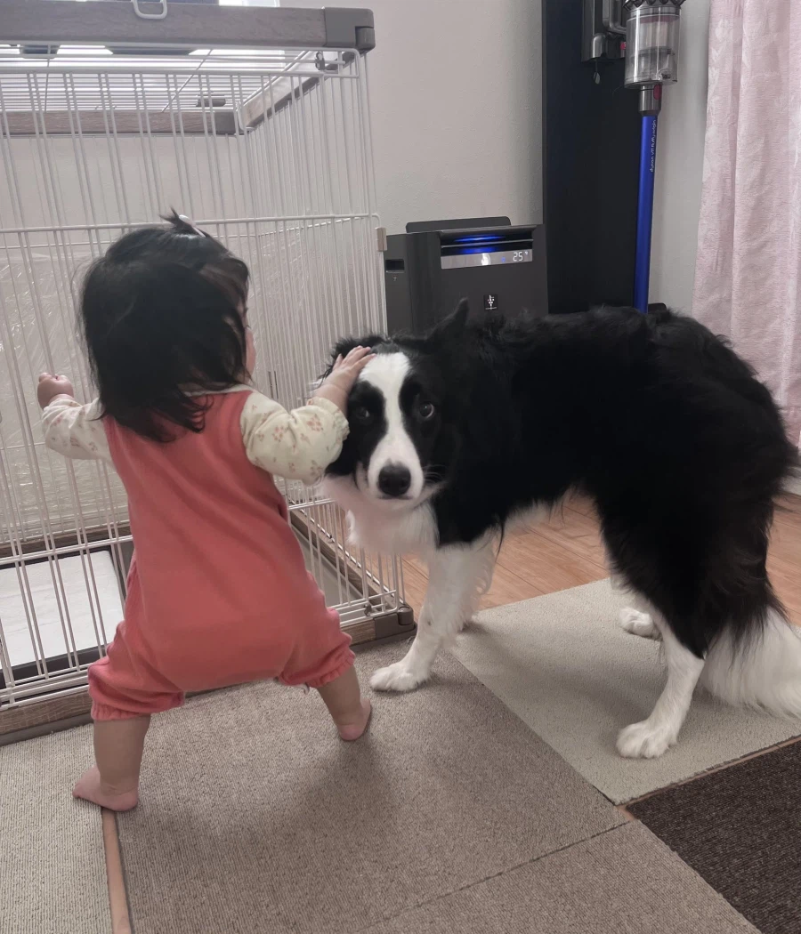 "네 녀석! 도달한거냐! 그분과 같은 경지에!!!"_4.webp