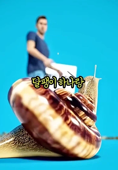 130억 받기 VS 살인 달팽이에게 쫓기기_2.webp
