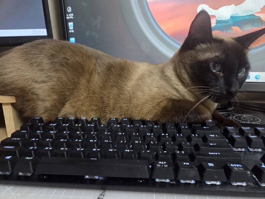 와우)하 진짜 나이먹어서 그런지 와우 못하겠음 ㅠㅠ_1.webp