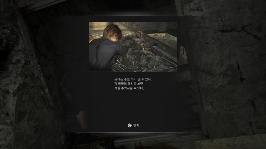 바하9 레퀴엠 : 라쿤시티_44.webp