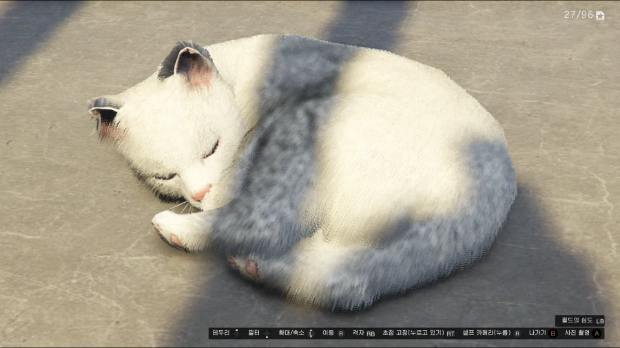 Gta 5 여우냐 고양이냐_1.webp