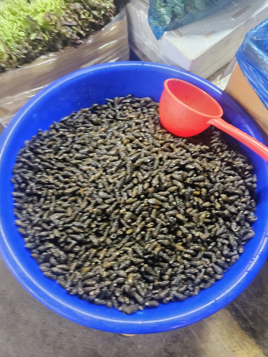 [충주] 무학시장 순대골목 우거지순대국_7.webp