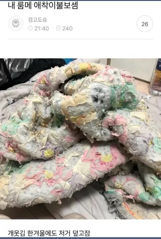 자신의 애착물건 자랑대회..jpg_7.webp