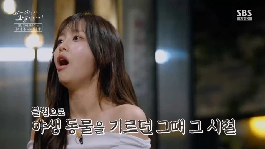 90년대 불법으로 기르던 애완동물들_11.webp