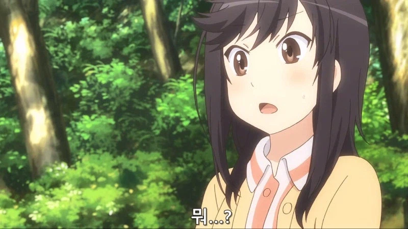 "산에 막 들어가서 채취하면 혼나는거 아닌가요?"_6.webp