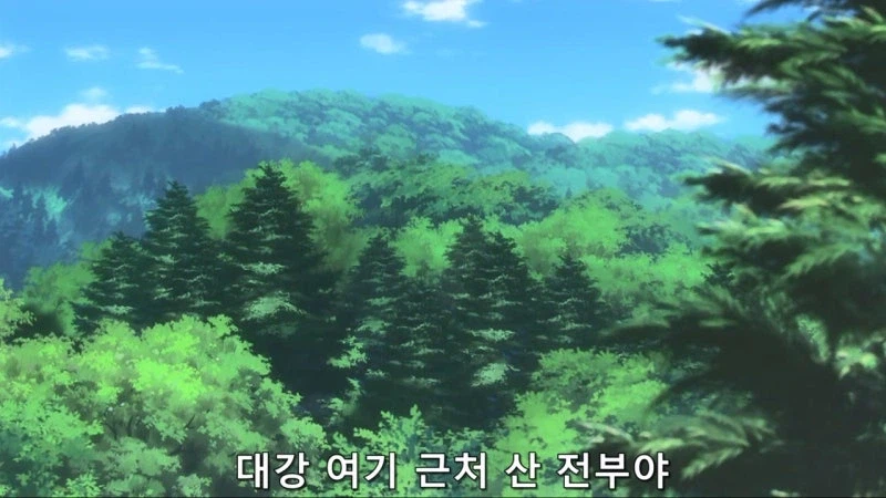 "산에 막 들어가서 채취하면 혼나는거 아닌가요?"_10.webp