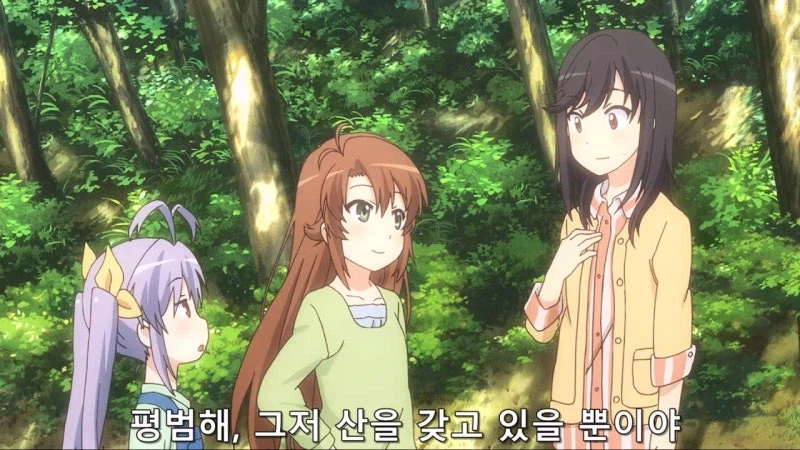 "산에 막 들어가서 채취하면 혼나는거 아닌가요?"_12.webp