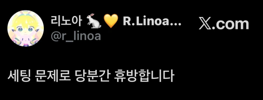 리노아님 셋팅 문제로 당분간 휴방하십니다_1.webp