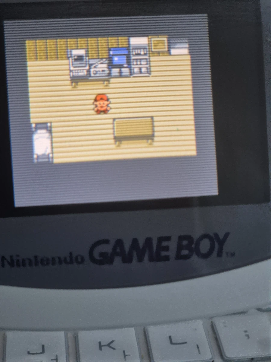 이게 그 요즘 유행하는 닌텐도 포켓몬 맞지?_2.webp