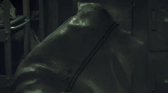 바하 시리즈에서 알고 보면 크리스보다 더 멘탈 붕괴 되있던 케릭_6.webp