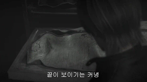 바하 시리즈에서 알고 보면 크리스보다 더 멘탈 붕괴 되있던 케릭_17.webp