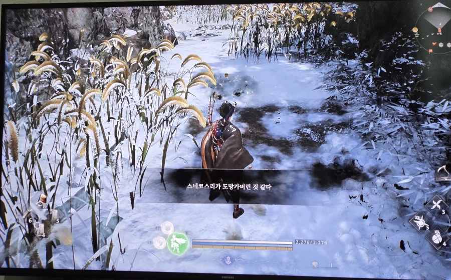 스네코스리 도망_1.webp