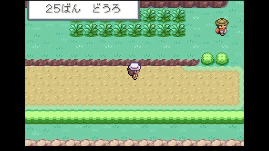 스위치 리프그린 너즐록 챌린지(2. 3번도로~블루시티)_30.webp