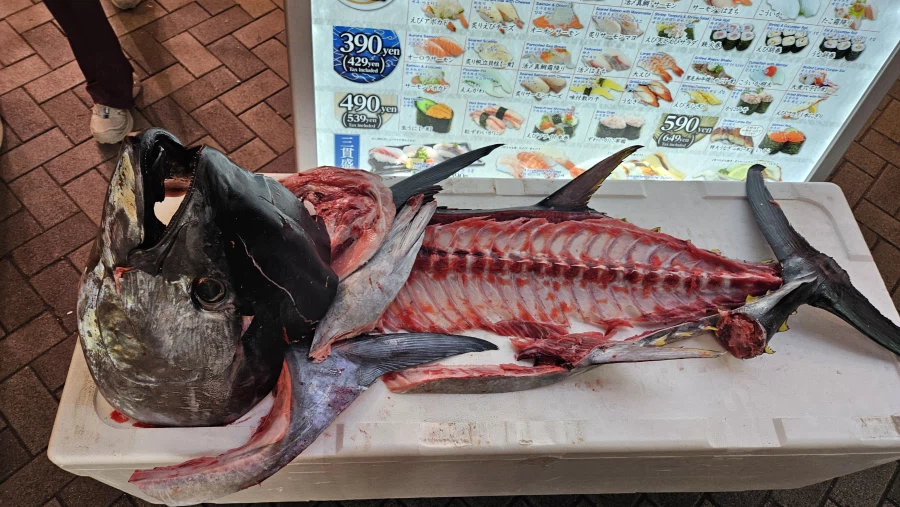 [일본]오사카 도톤보리 대기수산 회전초밥_3.webp