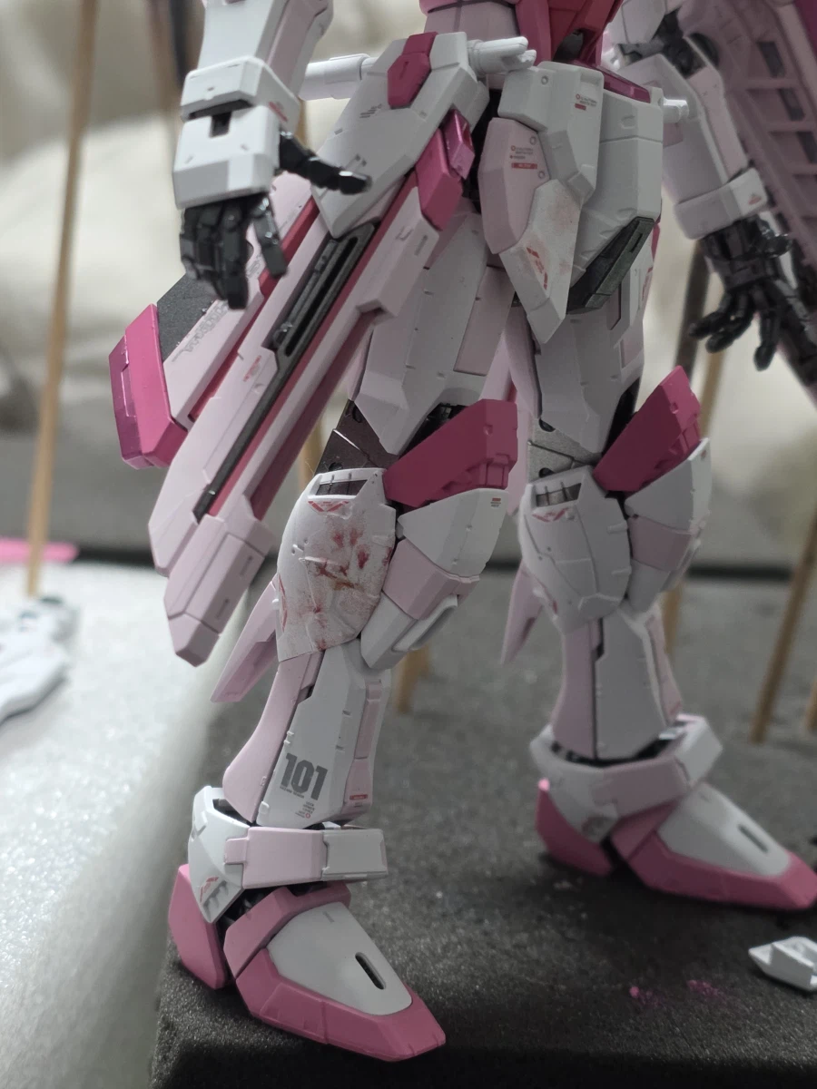 봄 특집 벚꽃 프리덤..._3.webp