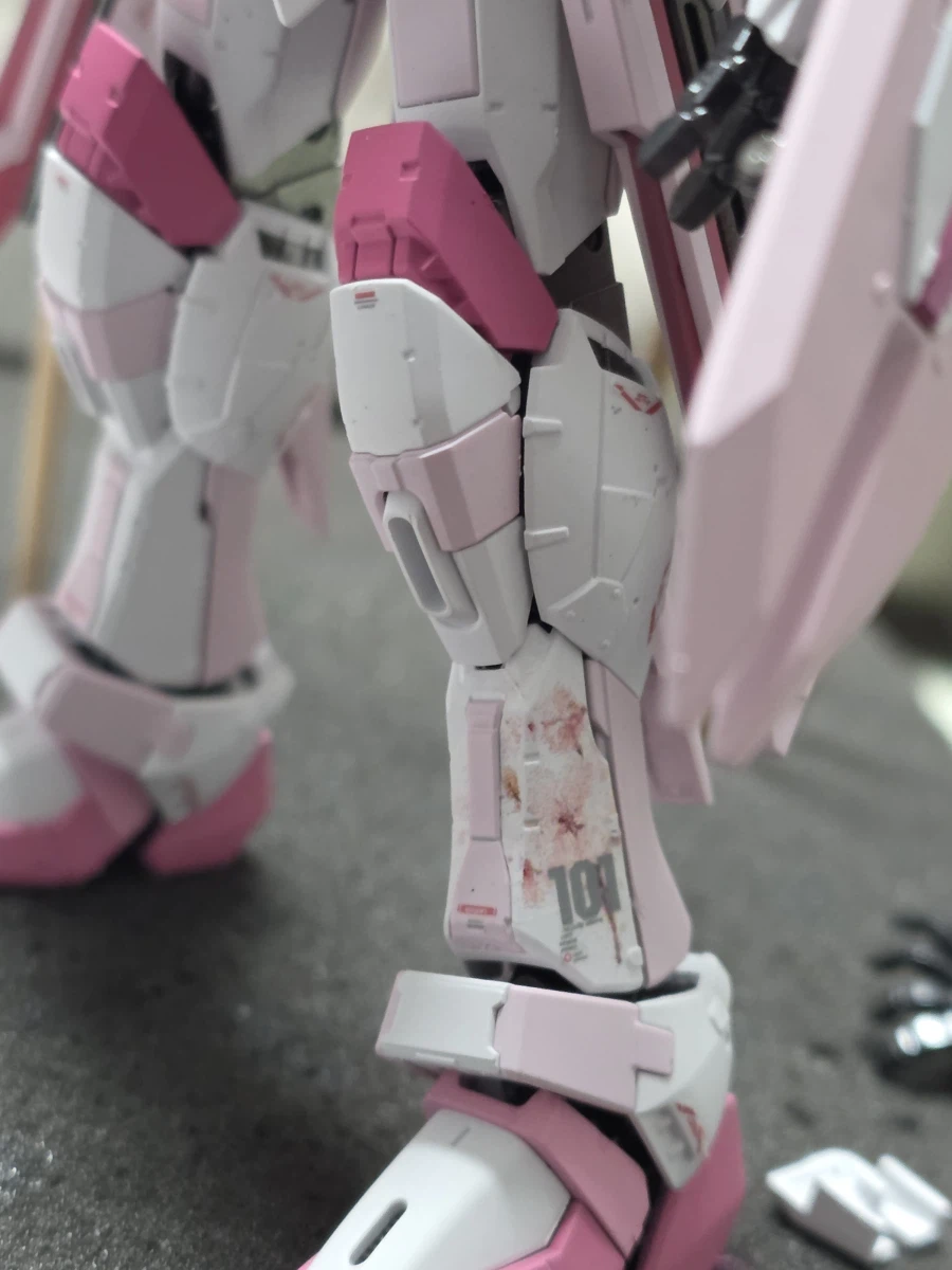 봄 특집 벚꽃 프리덤..._5.webp