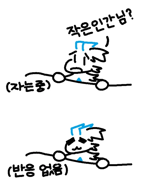 리로아의 일기 [일상 편 61]_1.webp