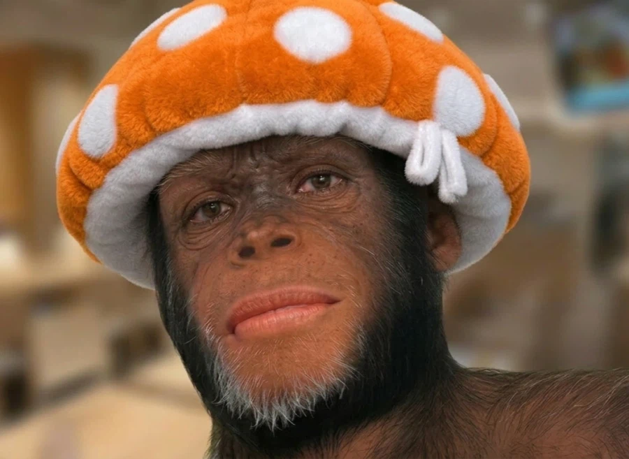 고화질 쌀숭이_1.webp