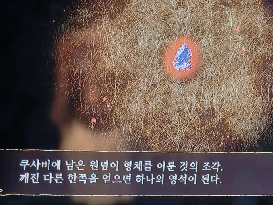 똥개 훈련도 아니고,,_1.webp