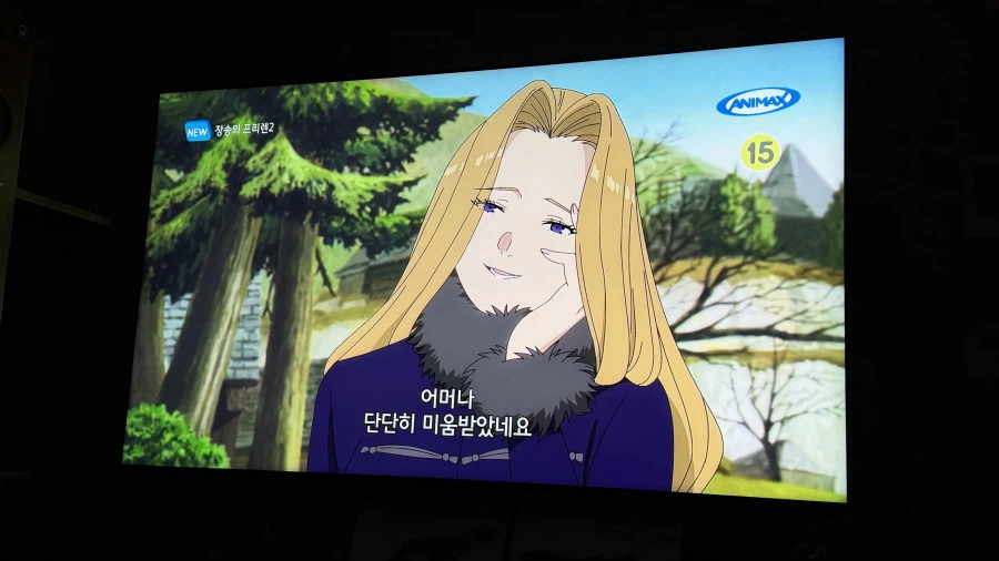 프리렌)파티에 합류하려는 메토데를 경계하는 페른_2.webp