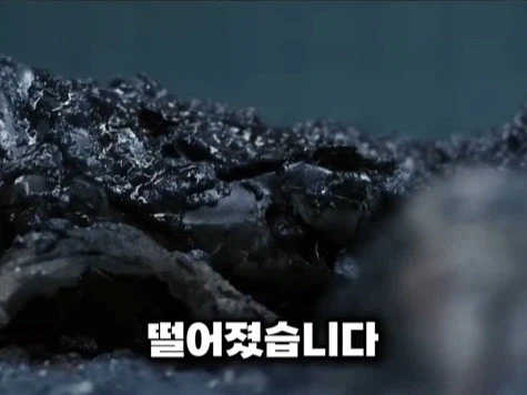 영화 리뷰 쇼츠 재작자 조차 빡친게 보이는 영화_15.webp