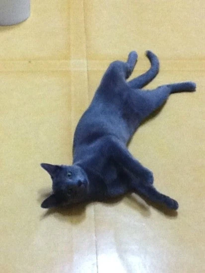 [라온이의 15번째 생일! 15년 압축 돌아보기]_21.webp