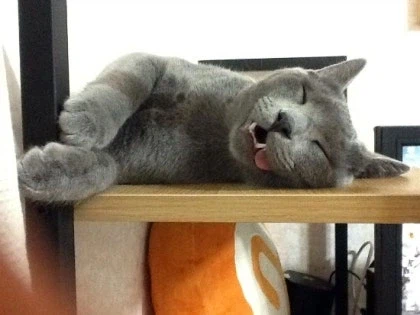 [라온이의 15번째 생일! 15년 압축 돌아보기]_25.webp