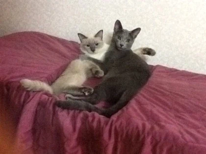 [라온이의 15번째 생일! 15년 압축 돌아보기]_26.webp