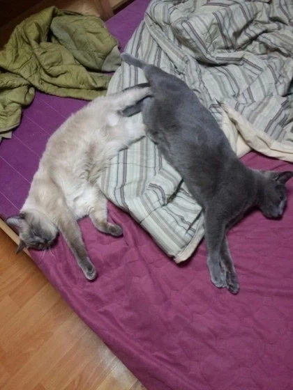 [라온이의 15번째 생일! 15년 압축 돌아보기]_47.webp