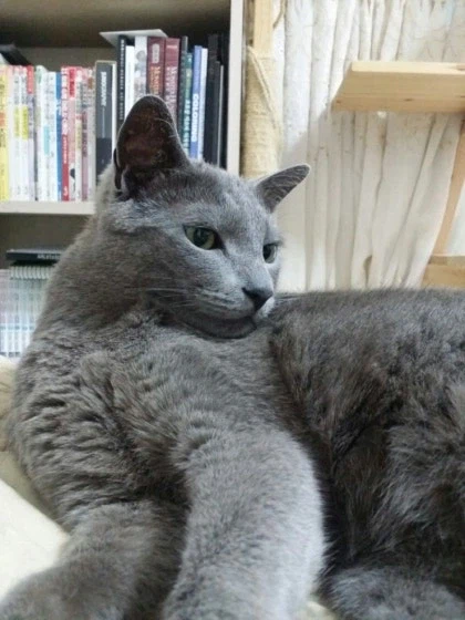 [라온이의 15번째 생일! 15년 압축 돌아보기]_70.webp