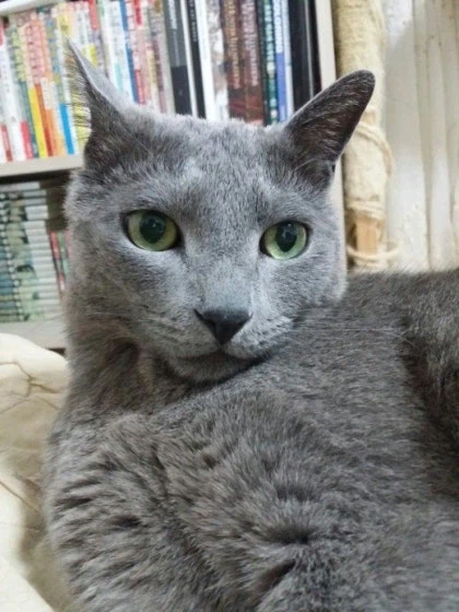 [라온이의 15번째 생일! 15년 압축 돌아보기]_71.webp