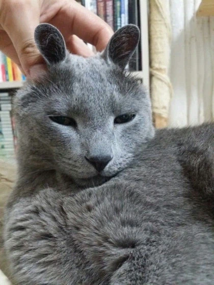 [라온이의 15번째 생일! 15년 압축 돌아보기]_72.webp