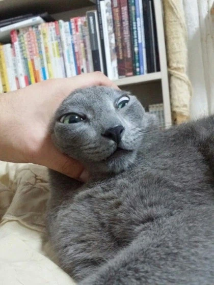 [라온이의 15번째 생일! 15년 압축 돌아보기]_75.webp