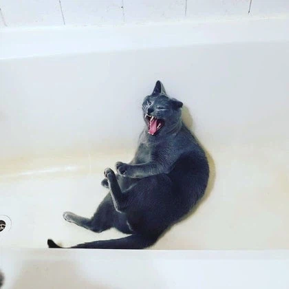 [라온이의 15번째 생일! 15년 압축 돌아보기]_78.webp