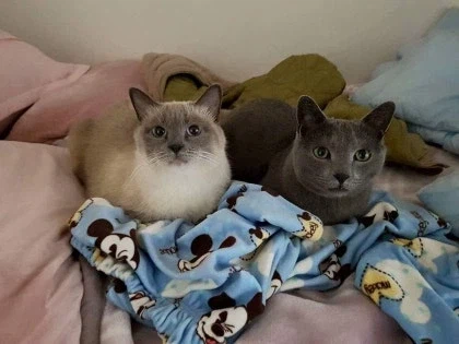 [라온이의 15번째 생일! 15년 압축 돌아보기]_82.webp