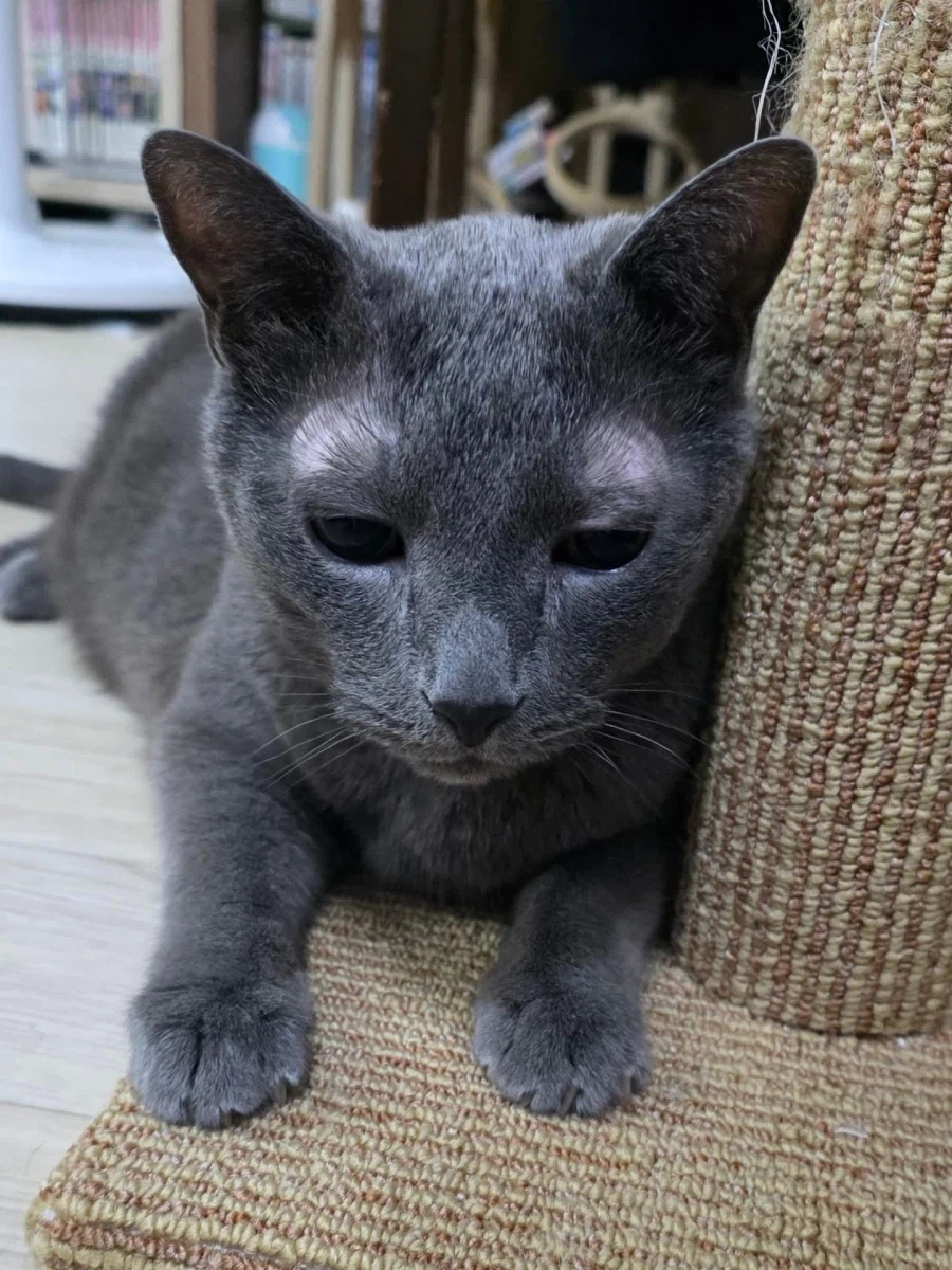 [라온이의 15번째 생일! 15년 압축 돌아보기]_119.webp