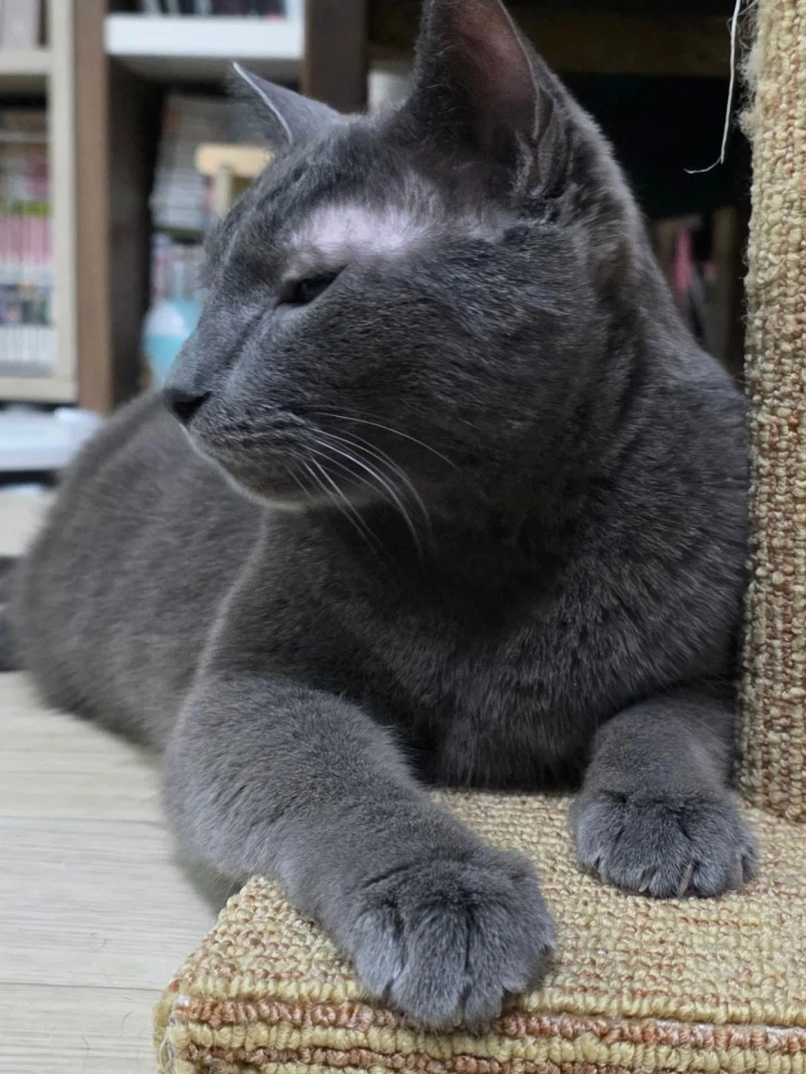 [라온이의 15번째 생일! 15년 압축 돌아보기]_120.webp