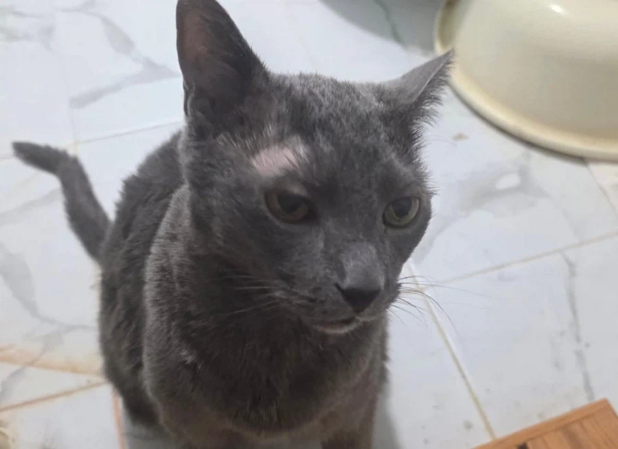 [라온이의 15번째 생일! 15년 압축 돌아보기]_122.webp