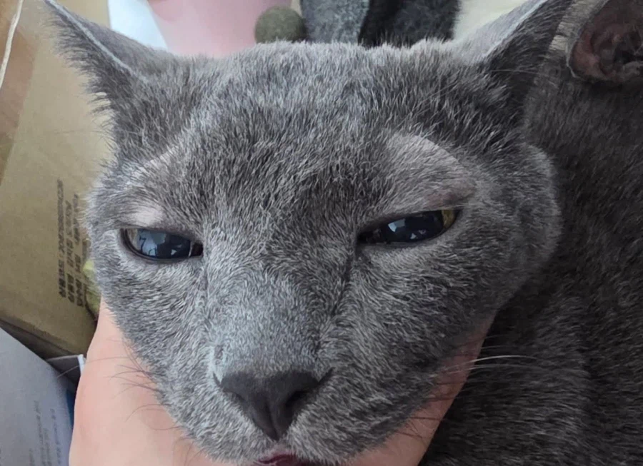 [라온이의 15번째 생일! 15년 압축 돌아보기]_128.webp