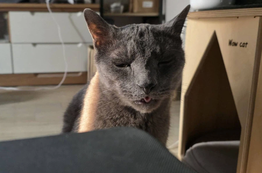 [라온이의 15번째 생일! 15년 압축 돌아보기]_132.webp