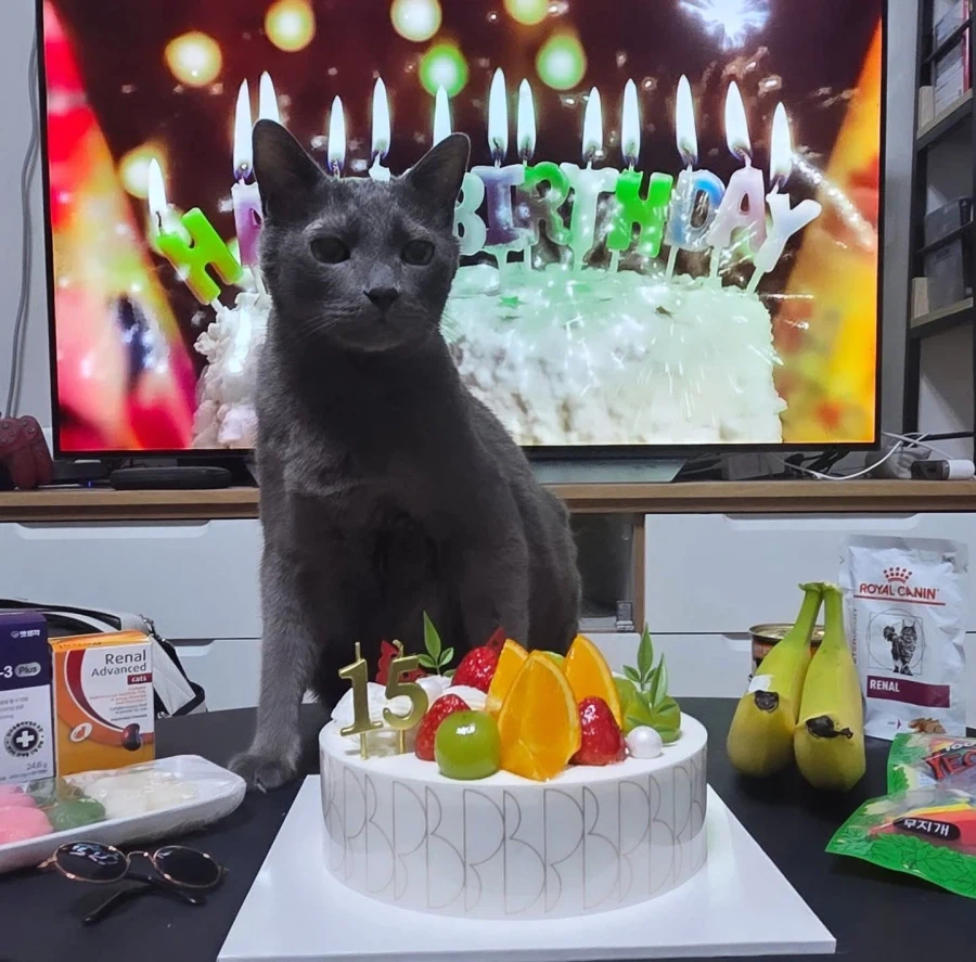 [라온이의 15번째 생일! 15년 압축 돌아보기]_139.webp