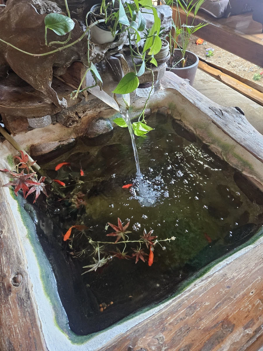 [증평] 쌍화차 좋아하세요? 우리의땅 쌍화차 전문점_5.webp