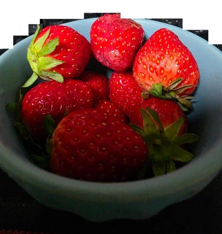 안녕하십니까 최근에 마신것 모음집.jpg_6.webp