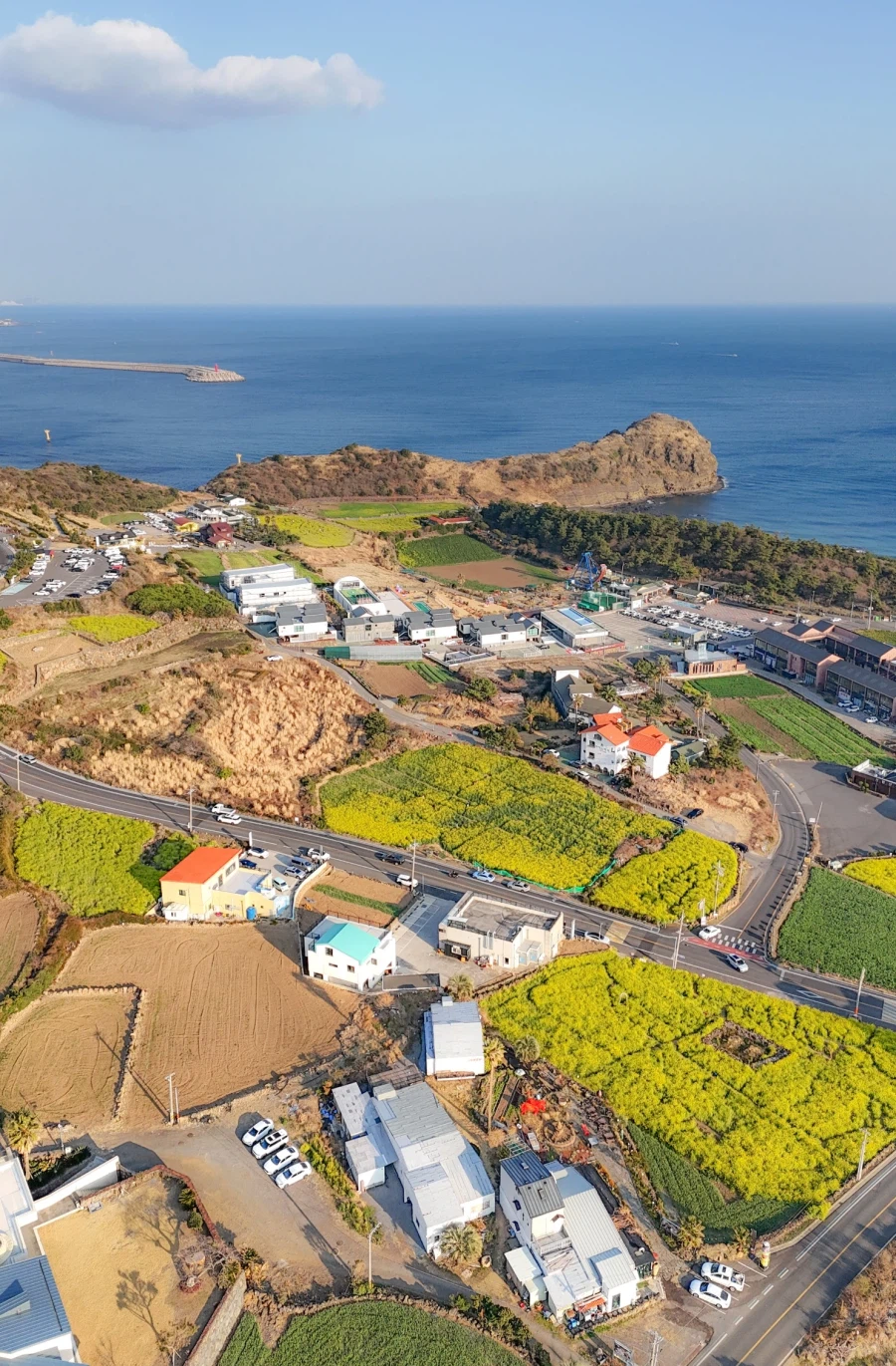 dji_fly_20260314_171518_0055_1773478934278_photo (1)(1).jpg