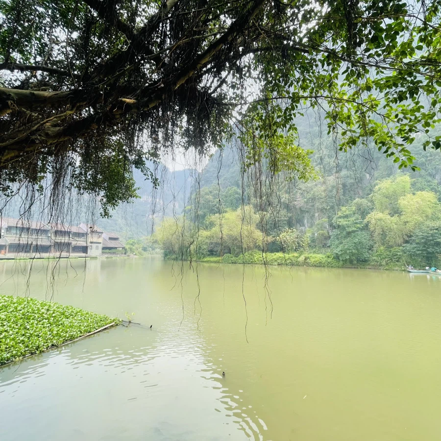 대망의 베트남 종단. 1일차 '닌빈 성'_4.webp