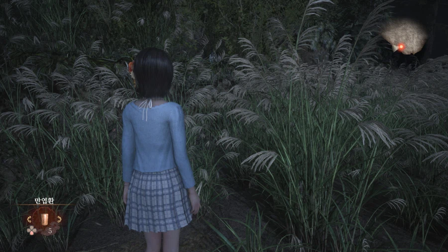 쌍둥이인형에 관한 팁을좀 드릴게요_5.webp