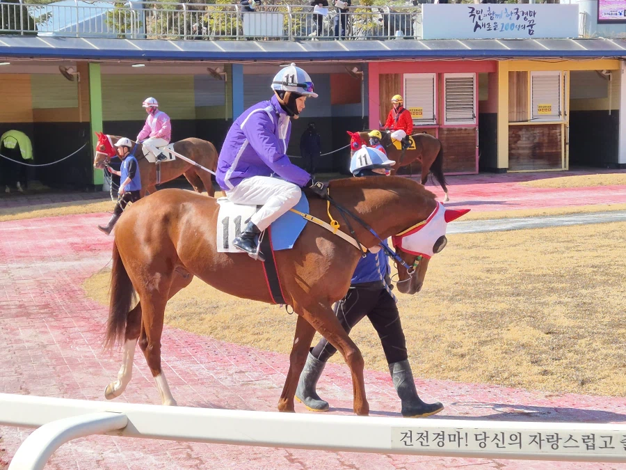 장소) 서로 다른 곳으로 오해하는 사람들이 있어서 올리는데_1.webp