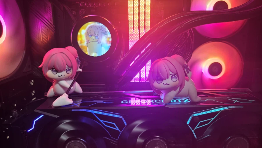 데스크를 점령한 도로롱_4.webp